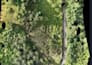 create a georeferenced drone orthomosaic map